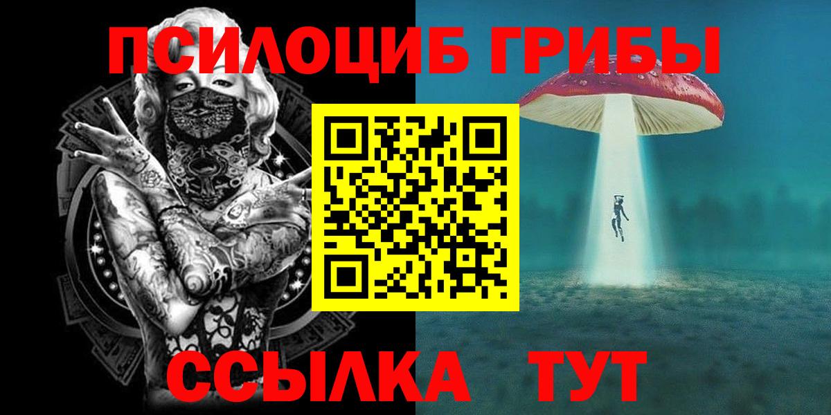 Ковров  Галлюциногенные грибы Psilocybine cubensis  Вход с VPN 