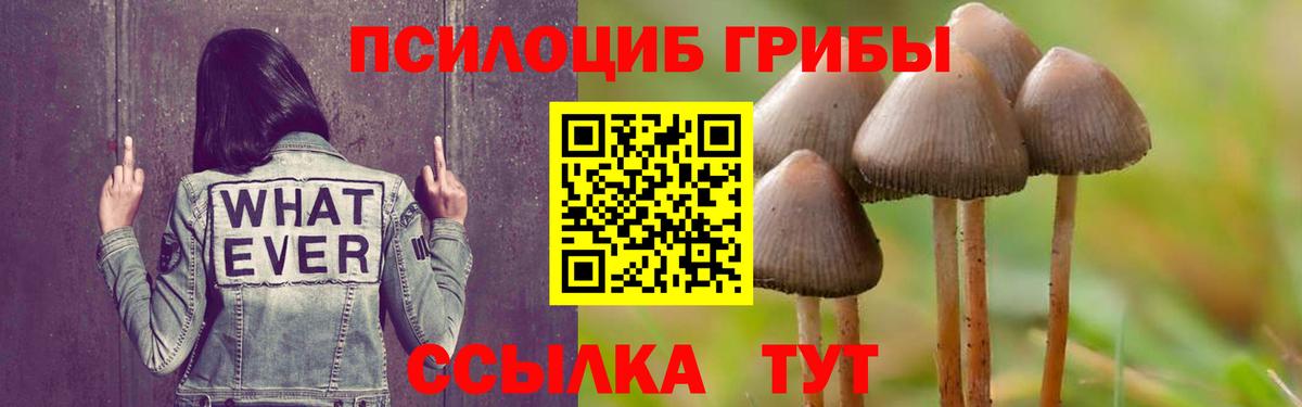 Галлюциногенные грибы MAGIC MUSHROOMS Ковров